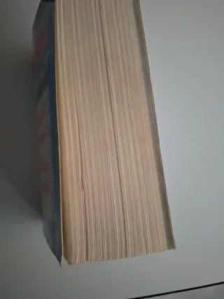 Regalo diccionario fr-esp esp-fr si compras cargad