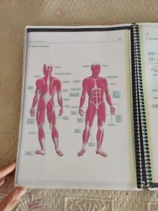 Libro técnicas básicas de enfermería