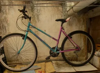 Bicicleta Orbea modelo EVASIÓN
