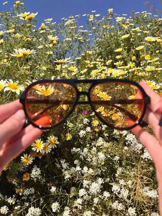 Gafas de sol aviador negras y naranjas