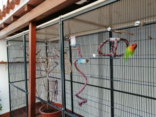 Voladera Imor 3m x 1m