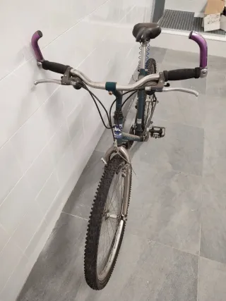 Bicicleta Montaña Monty (Tralla 420)