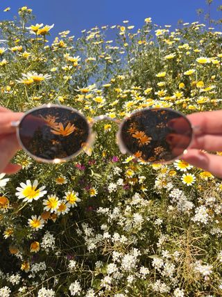 Gafas de sol metal redondas