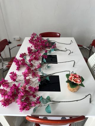 Plantas Decorativas Artificiales