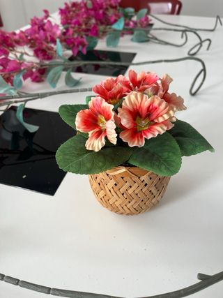 Plantas Decorativas Artificiales