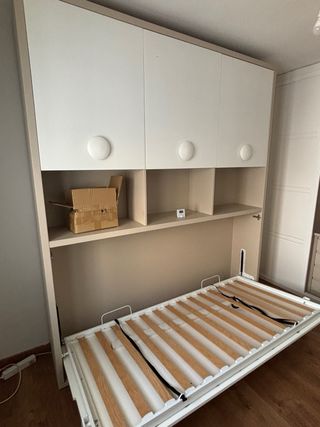 Mueble con cama abatible (puedes verlo)