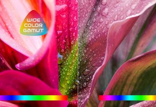 TCL 65P739 - Smart TV 65" con 4K HDR, Ultra HD, Go