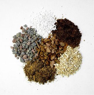 Sustrato Aroid Premium Interior 10L