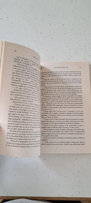 EL CANTAR DE MIO CID