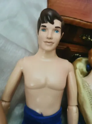 Lote de príncipes Disney