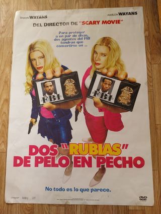 Póster Película Wimbledon (2004)