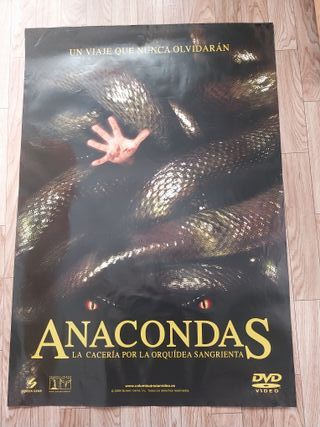 Póster Película Wimbledon (2004)