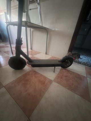 Patinete Eléctrico Xiaomi