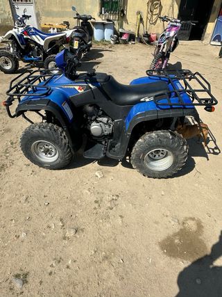 Quad Gas Gas K2 250
