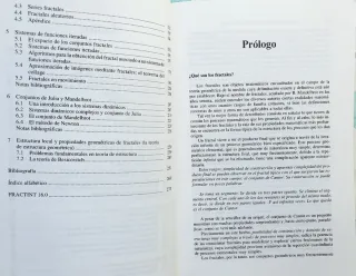 Estructuras Fractales y Sus Aplicaciones