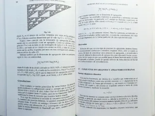 Estructuras Fractales y Sus Aplicaciones