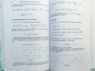 Estructuras Fractales y Sus Aplicaciones
