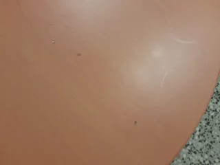 Mesa plegable redonda madera y metal