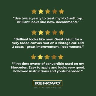 Renovo Reviver - Tinte para Campana, 1 L-negro