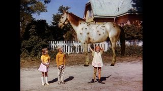 Pippi Langstrumpf - Spielfilm-Komplettbox (Softbox