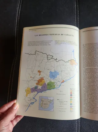 Libro El mundo de los Vinos Larousse