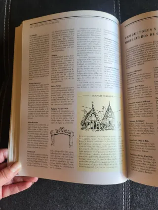 Libro El mundo de los Vinos Larousse