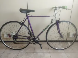 Bicicleta Morada y Blanca