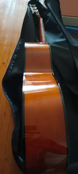 Guitarra Española Rocío R10 con Funda