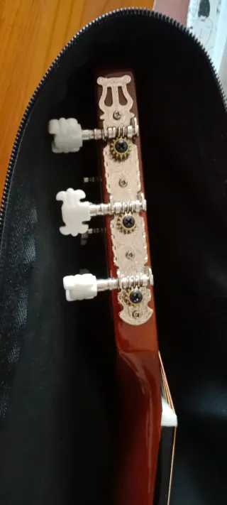 Guitarra Española Rocío R10 con Funda