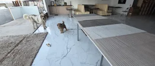 Cerámica pared rayada 60x120