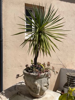 Planta con jardinera de piedra