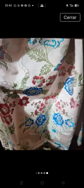 Falda y zapatos de fallera