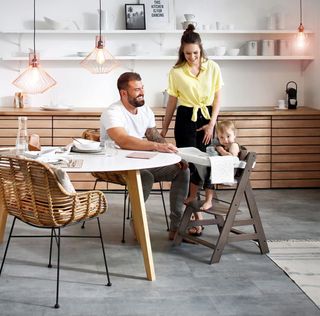 hauck Alpha Tray Bandeja Trona Beta Alpha Plus