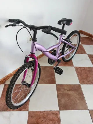 Bicicleta infantil morada