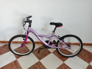 Bicicleta infantil morada