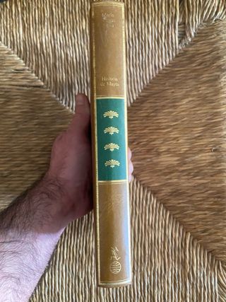 La guerra del fin del mundo ; Historia de Mayta