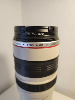 Canon EF 100-400mm f/4.5-5.6 L IS USM