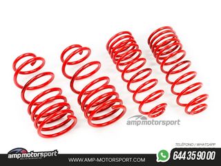 MUELLES DEPORTIVOS MTS TECHNIK MTSXFO125