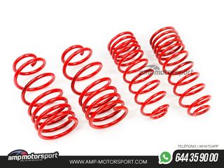 MUELLES DEPORTIVOS MTS TECHNIK MTSXOP116