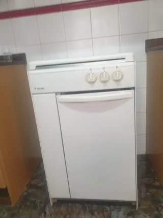 Frigorífico Blanco,Televisión, microondas y butano