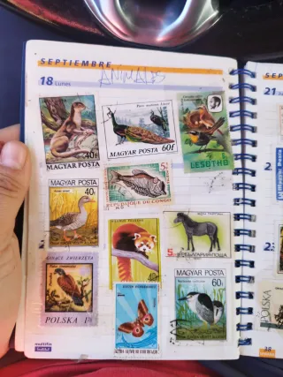 Colección de sellos de varios países