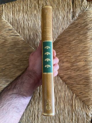 Pedro Paramo El Llano En Llamas