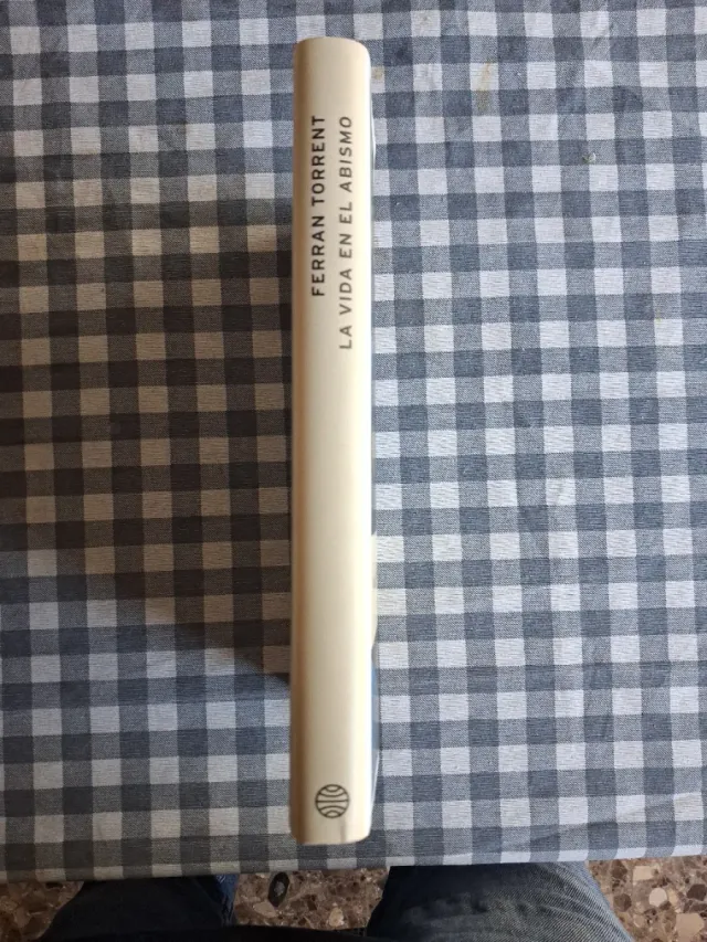 La Vida En El Abismo: Finalista Premio Planeta ...