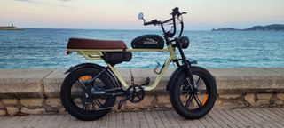 Bicicleta Eléctrica ENGWE M1 2 Plazas