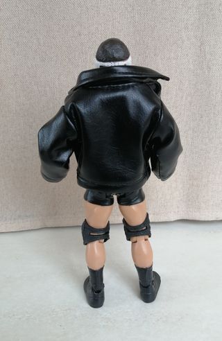 WWE WCW Classic Superstars Rick Steiner Custom