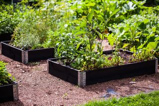 Upyard GardenBox - Juego de 3 Camas elevadas Moder