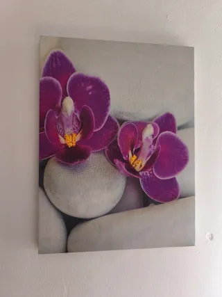 Pack 2 Cuadros Orquídeas y Piedras