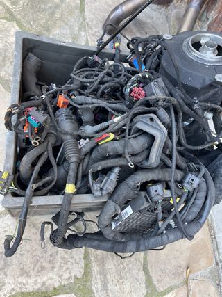 Cableado Motor Ferrari Modena 360