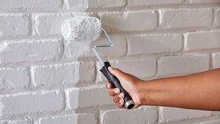 Pintor profesional Alicante