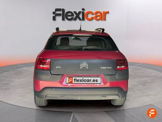 Citroën C4 Cactus PureTech 81KW (110CV) S&S Feel